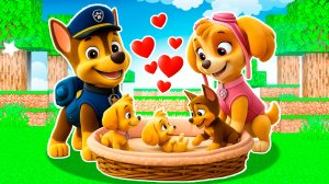 😳 ДЕВУШКА СКАЙ БЕРЕМЕННА от ГОНЩИКА и РОДИЛА ЩЕНЯЧИЙ ПАТРУЛЬ в МАЙНКРАФТ PAW PATROL МУЛЬТИК