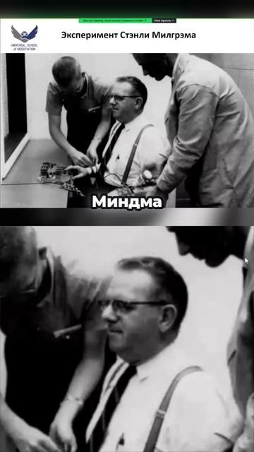 Эксперты ошиблись_ вот сколько людей готовы были убить током