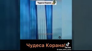 алхамдулилляһ