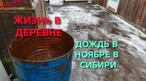 Жизнь в деревне 23 ноября на севере Омской области идет дождь а должны быть морозы