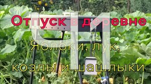 Ч1 Мы опять едем в деревню!!