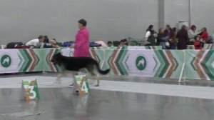 Вео Росс Ярополк