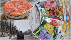 Погода в городе. У взрослых свои игрушки.Семена на 2026.  Закупка и дела житейские