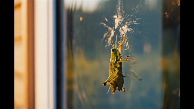 ВРЕЗАЛСЯ )))