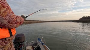 Река Дон. Удачно порыбачили!