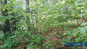 ПВД Гаврилова поляна  г. Серная  с. Ширяево #впбп #jivoy63