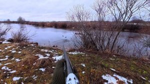 ПОДКРАЛСЯ К СТАЕ УТОК И ОТЛИЧНО ОТСТРЕЛЯЛСЯ. Охота на Утку. Шикарные Подходы к Дичи.