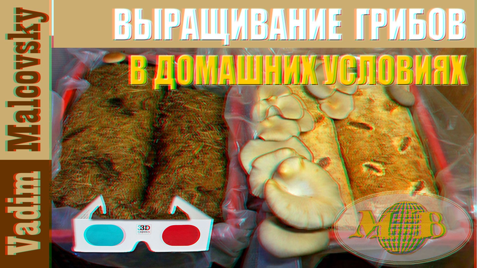 3D stereo red-cyan Выращивание вешенки и опят в домашних условиях. Мальковский Вадим