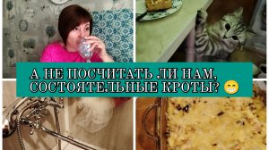 23-11-2025 ВСЁ СЧИТАЮ, ПОТОМ ЕМ😁НОВЫЙ СМЕСИТЕЛЬ👍ГОТОВЛЮ ЖУЛЬЕН😋ПОКУПКИ С ОЗОНА И ПЯТЁРОЧКИ🛒REX👍