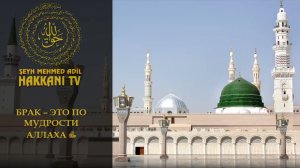 Брак - это по Мудрости Аллаха ﷻ