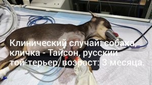 От успешной операции до осложнений: всего один прыжок