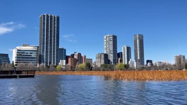 Япония роняет мировую экономику ХУЖЕ ГРЕЦИИ!