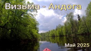 ВИЗЬМА - АНДОГА 2025
