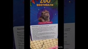 23.11.2025 Зоо-выставка в Мегастрое. Ребята вдоволь наобщались с себе подобными существами 😁