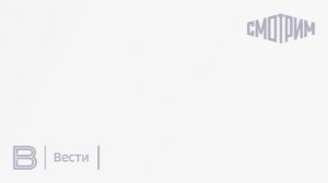 МВД предупредило о мошенничестве с недействительными полисами ОСАГО