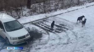 Срок за спайс, тройное ДТП и задержание дрифтеров: сводка происшествий по Кузбассу