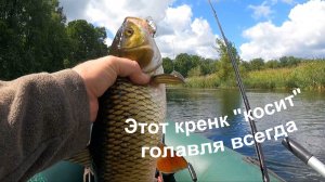 ЭТОТ КРЕНК ЛОВИТ ГОЛАВЛЯ ВСЕГДА И ВЕЗДЕ!!!