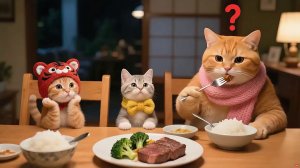 Как котики проголодались