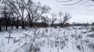 Бедарево зу3