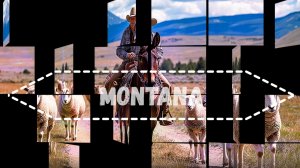 Montana(country folk rock)