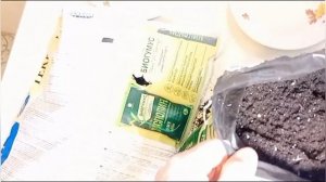 загадка TERRA VITA 🤔 в чём разница между цветочной и универсальной землёй.