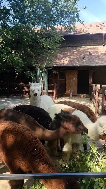 Доброе утро!