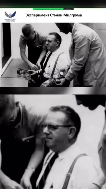 Влияет ли наказание на память_ Гипотезы эксперимента Милгрэма
