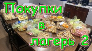 Обзор покупок в лагерь детям и не только - 2 (11.25) Семья Бровченко.