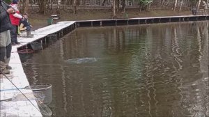 Рыбалка на Спорт-зоне. В приоритете по поимкам лесистая сторона. Клёвое место Лосиный остров.