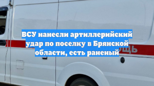 ВСУ нанесли артиллерийский удар по поселку в Брянской области, есть раненый