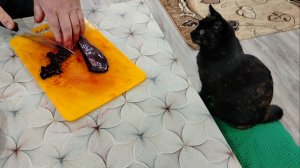 Утро началось с неприятности😢