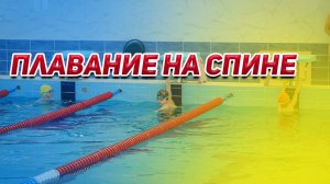 Плавание на спине: расслабление и техника для идеальной осанки