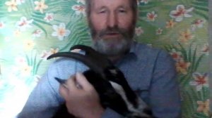 ЕСТЬ У КОЗЫ ДУША ?