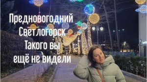 Предновогодний Светлогорск. Ноябрь 2025 года. Такого вы еще не видели!