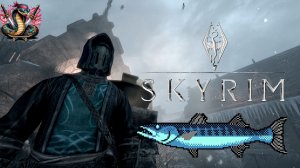 МИССИЯ ВАЖНОГО ЗНАЧЕНИЯ ШКОЛЫ СУТУЛОЙ МАГИИ в The Elder Scrolls V: Skyrim Часть 9