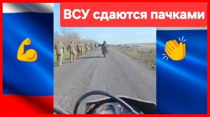 Наверняка, все повара. ВСУ сдаются пачками