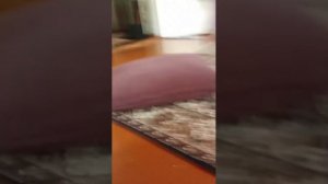 Один дома часть 5