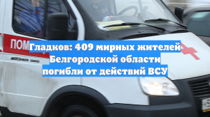 Гладков: 409 мирных жителей Белгородской области погибли от действий ВСУ
