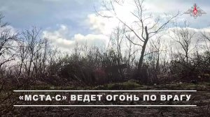 ⚔️ Расчёт САУ «Мста-С» 27-й гвардейской мотострелковой дивизии 2-й гвардейской общевойсковой арми...