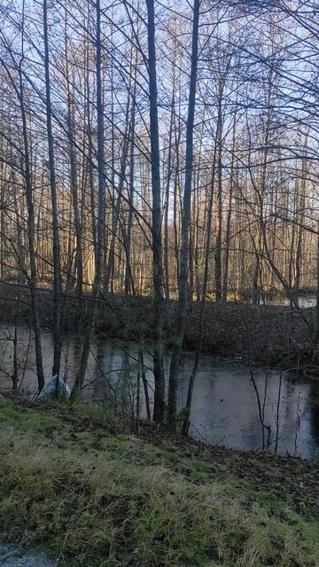 Осень смотреть онлайн