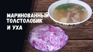 МАРИНОВАННЫЙ ТОЛСТОЛОБИК И УХА: РЕЦЕПТ, КОТОРЫЙ ЗАСТАВИТ ВСЕХ ПРОСИТЬ ДОБАВКИ!