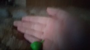 Амнямания Сезон 2: Школа: Серия 7: Возвращение Домой ( Мы Не Увидимся В Будущем) Финал, Моя Озвучка.