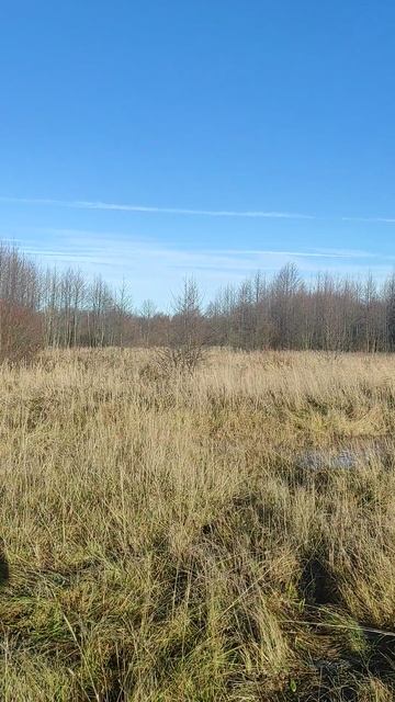 Осень смотреть онлайн