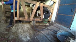 Влог от 08.10.2021