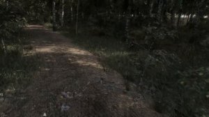 ASKET - Лесная локация (Ноябрь 2025)