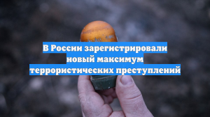 В России зарегистрировали новый максимум террористических преступлений