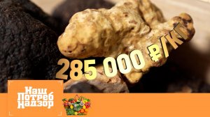 Белый трюфель, проверка наггетсов и «закулисье» колбасного комбината | НашПотребНадзор (23.11.25)