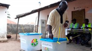 Выборы депутатов парламента и президента стартовали в Гвинее-Бисау