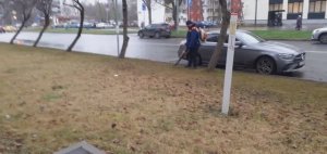 Как убирают листву в Москве