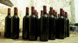 Россия в октябре ввезла максимальные за 1,5 года 6,5 тыс. тонн вина из Грузии